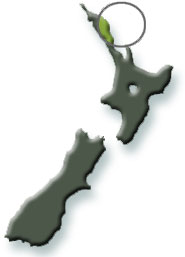 NZ Map